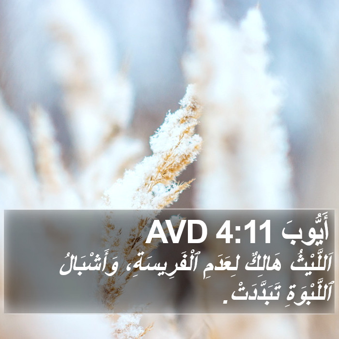 أَيُّوبَ 4:11 AVD Bible Study