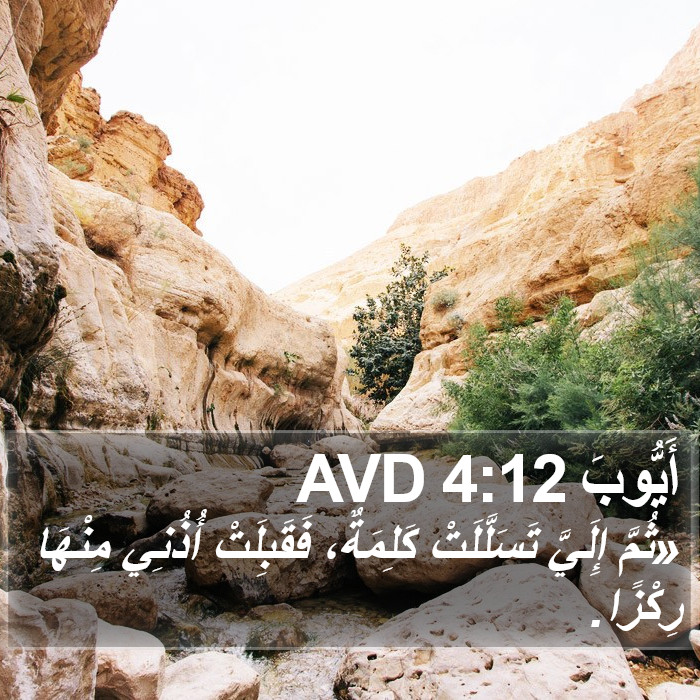 أَيُّوبَ 4:12 AVD Bible Study