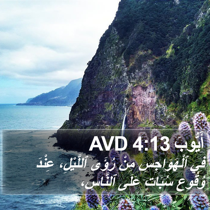 أَيُّوبَ 4:13 AVD Bible Study