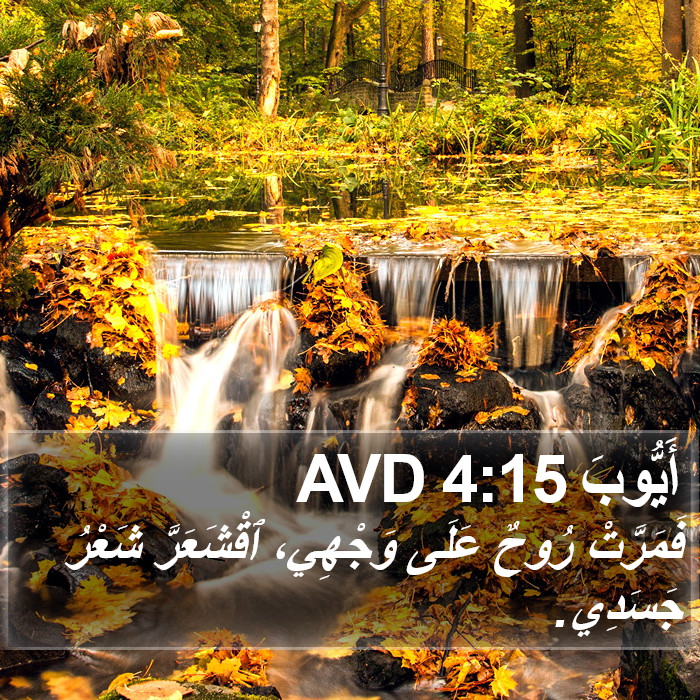 أَيُّوبَ 4:15 AVD Bible Study