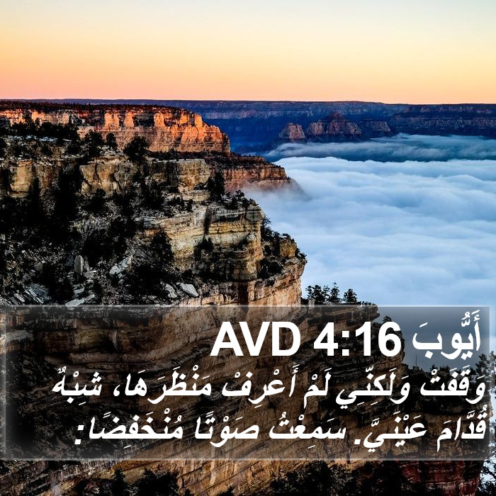 أَيُّوبَ 4:16 AVD Bible Study