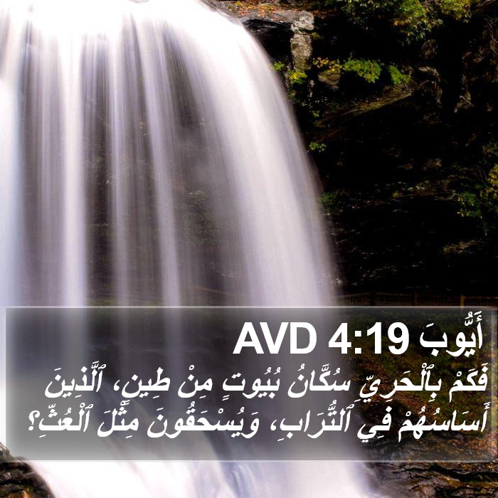 أَيُّوبَ 4:19 AVD Bible Study