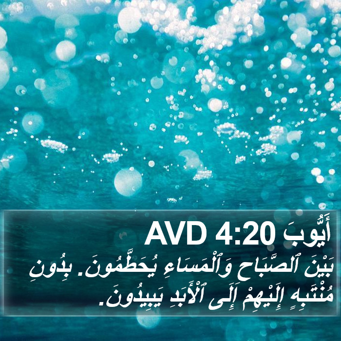 أَيُّوبَ 4:20 AVD Bible Study