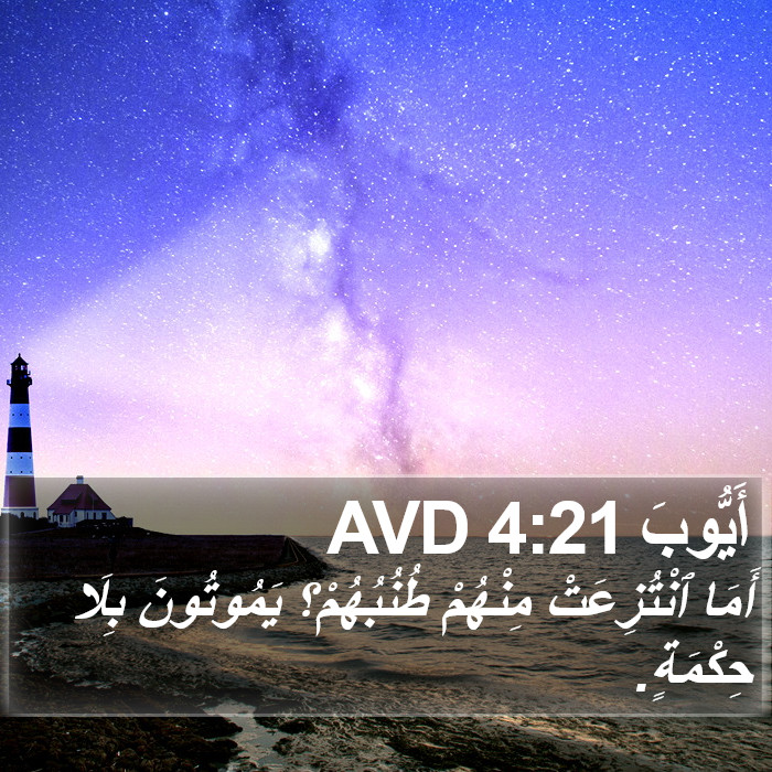 أَيُّوبَ 4:21 AVD Bible Study