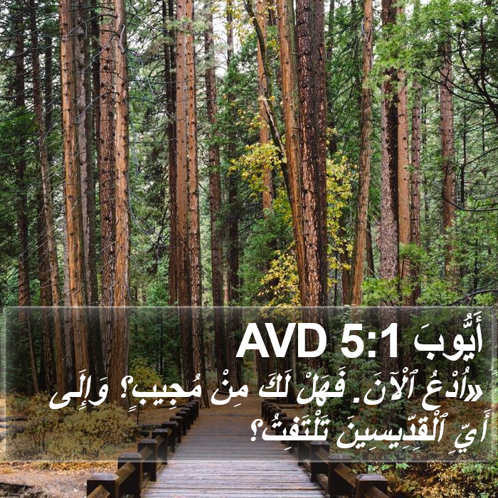 أَيُّوبَ 5:1 AVD Bible Study