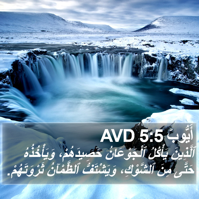 أَيُّوبَ 5:5 AVD Bible Study