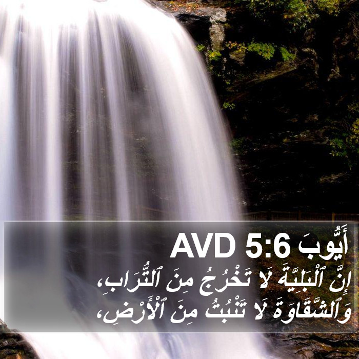 أَيُّوبَ 5:6 AVD Bible Study