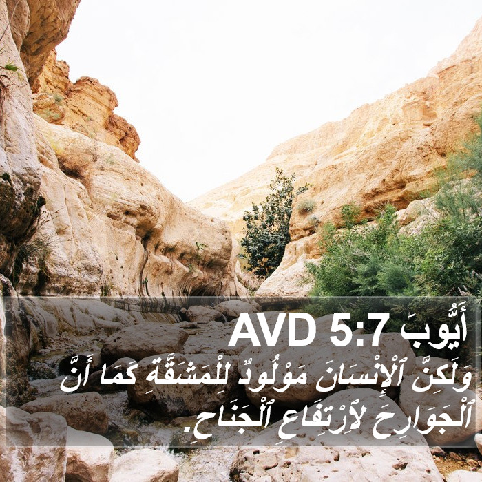 أَيُّوبَ 5:7 AVD Bible Study