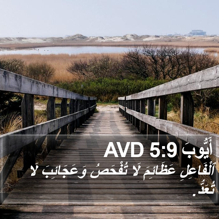 أَيُّوبَ 5:9 AVD Bible Study