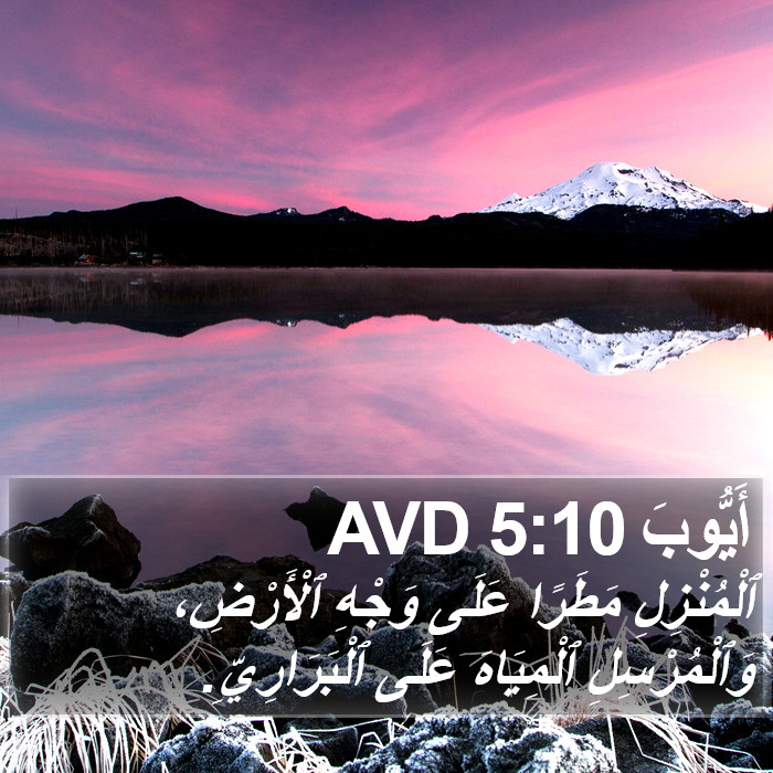 أَيُّوبَ 5:10 AVD Bible Study