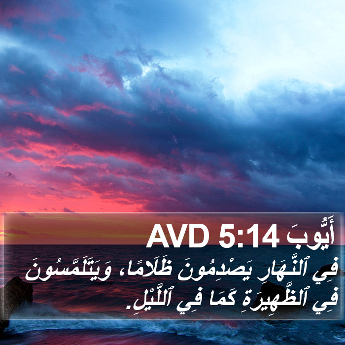أَيُّوبَ 5:14 AVD Bible Study