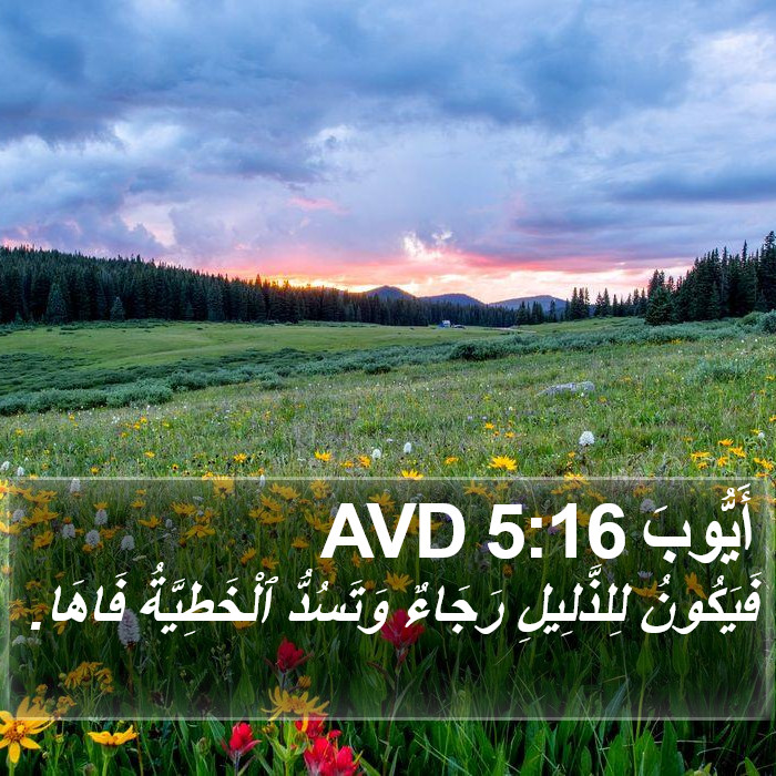 أَيُّوبَ 5:16 AVD Bible Study