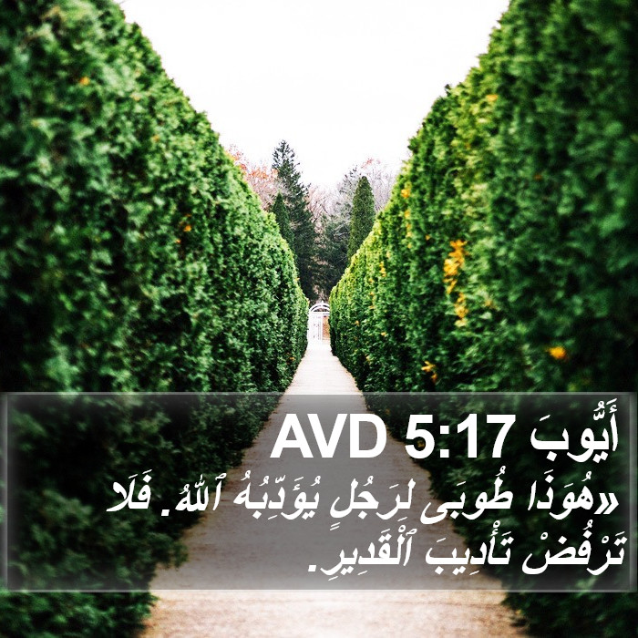 أَيُّوبَ 5:17 AVD Bible Study