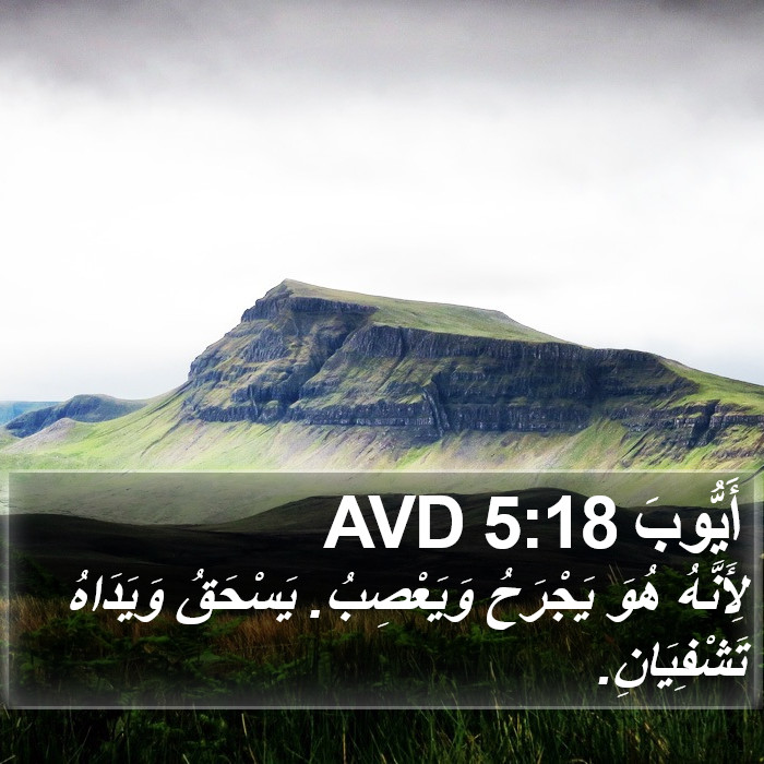 أَيُّوبَ 5:18 AVD Bible Study