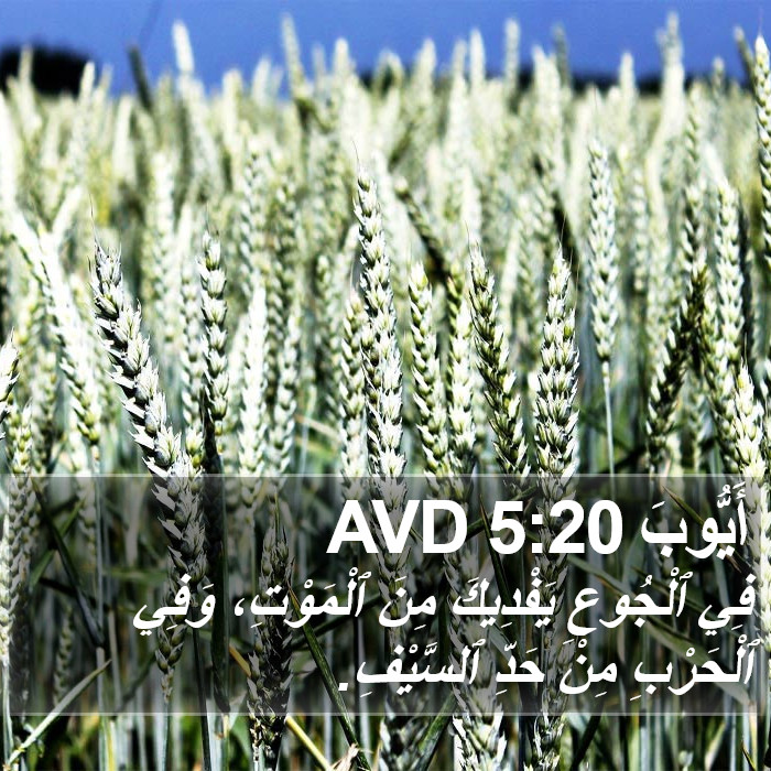 أَيُّوبَ 5:20 AVD Bible Study