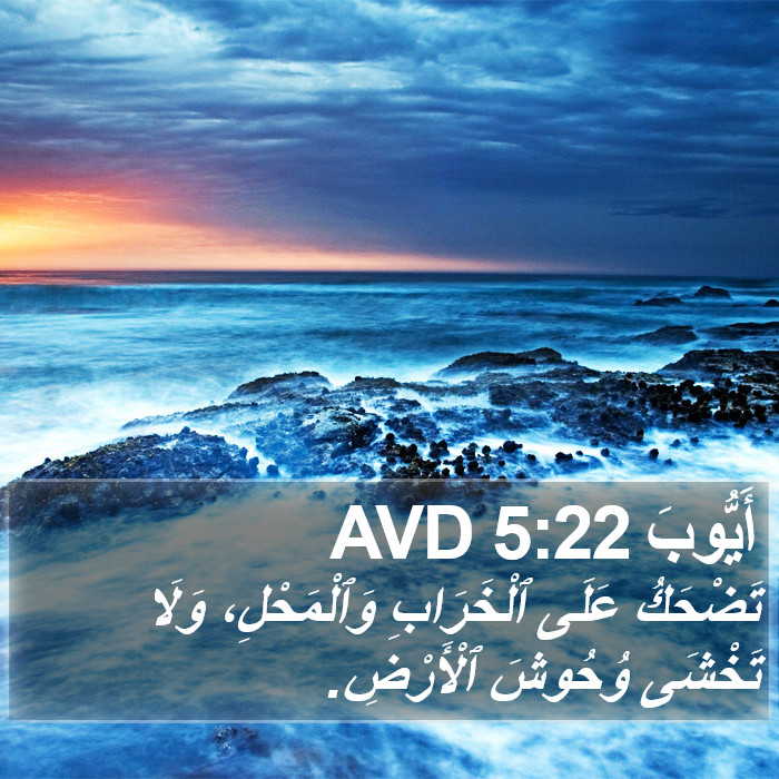 أَيُّوبَ 5:22 AVD Bible Study