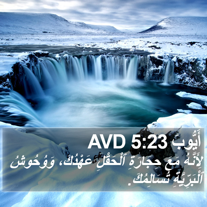 أَيُّوبَ 5:23 AVD Bible Study