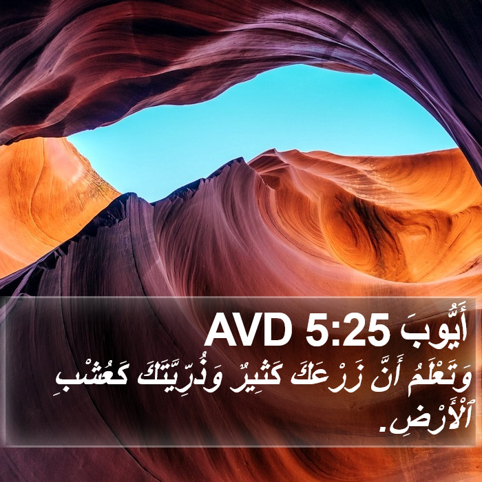 أَيُّوبَ 5:25 AVD Bible Study