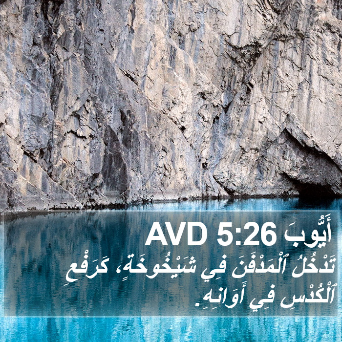 أَيُّوبَ 5:26 AVD Bible Study