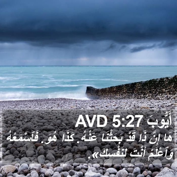 أَيُّوبَ 5:27 AVD Bible Study