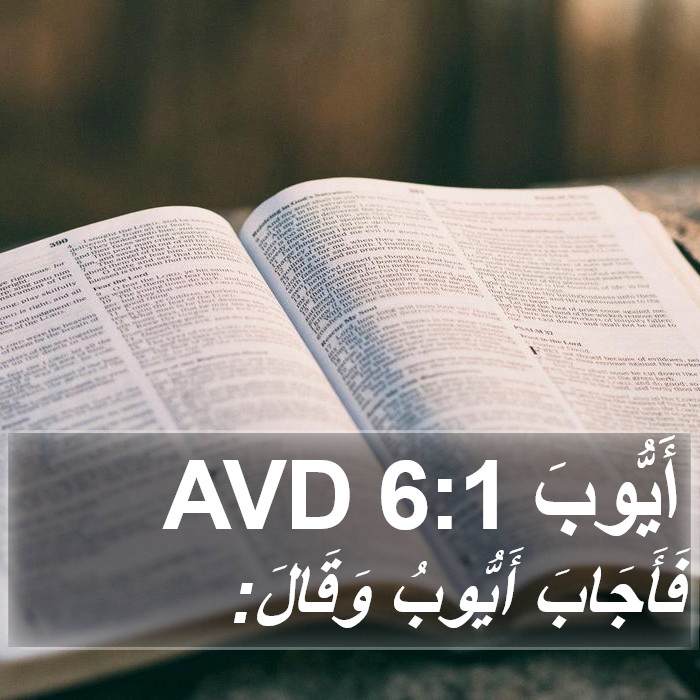 أَيُّوبَ 6:1 AVD Bible Study