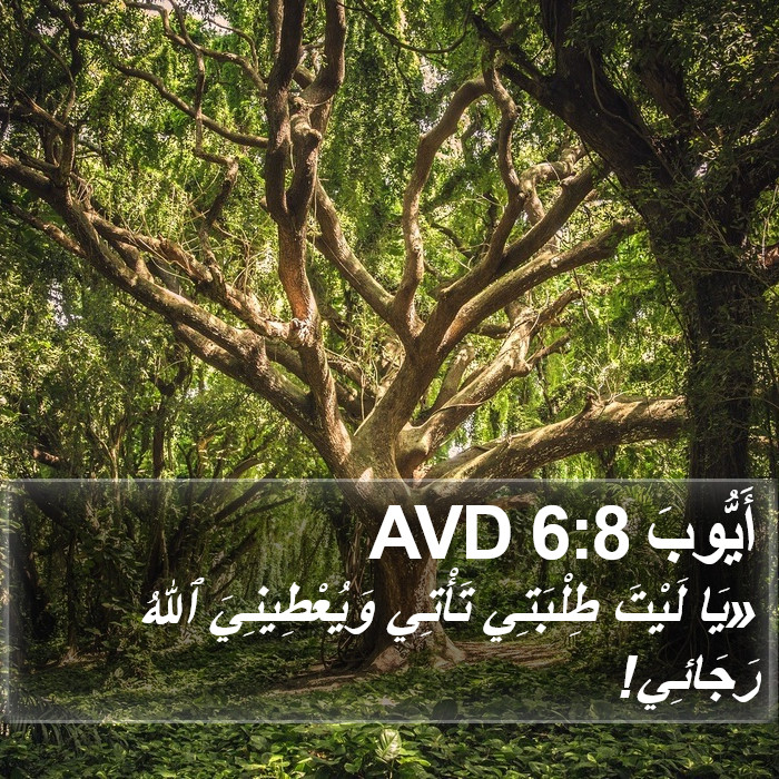 أَيُّوبَ 6:8 AVD Bible Study