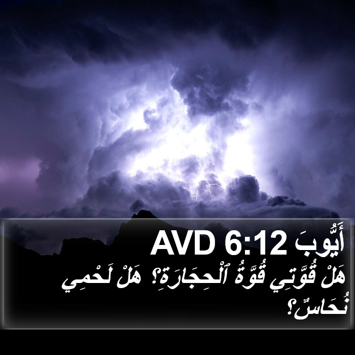 أَيُّوبَ 6:12 AVD Bible Study