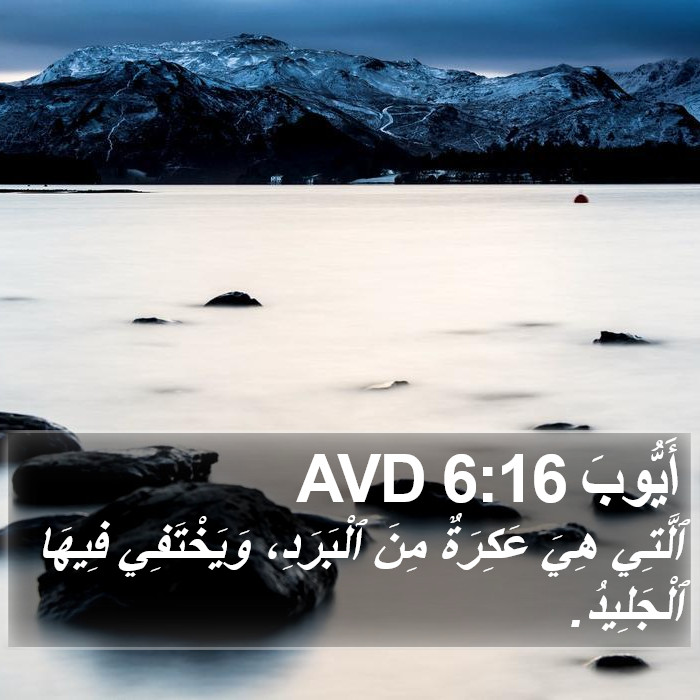 أَيُّوبَ 6:16 AVD Bible Study