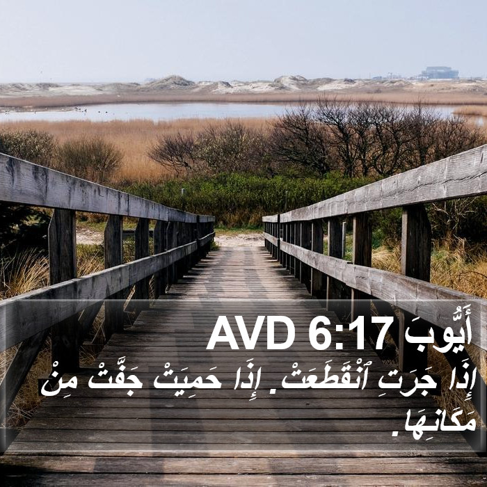 أَيُّوبَ 6:17 AVD Bible Study