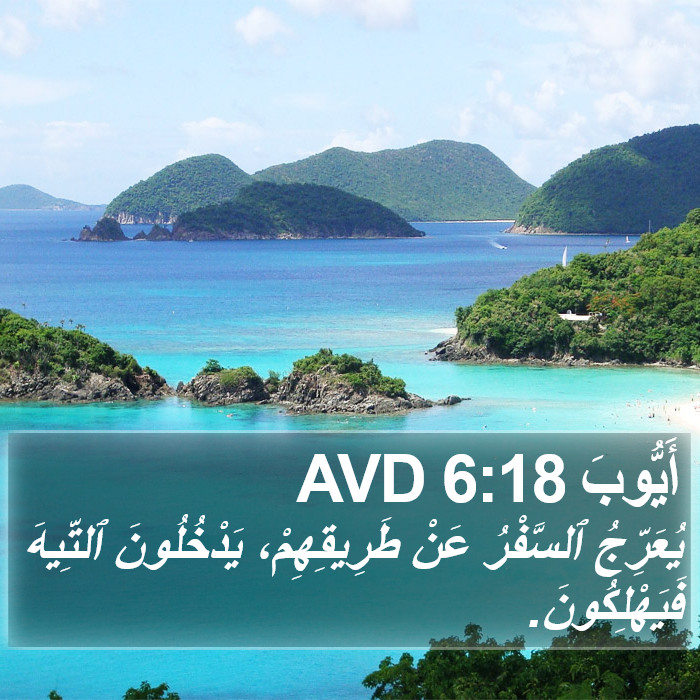 أَيُّوبَ 6:18 AVD Bible Study