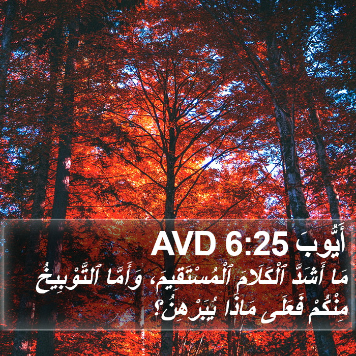 أَيُّوبَ 6:25 AVD Bible Study