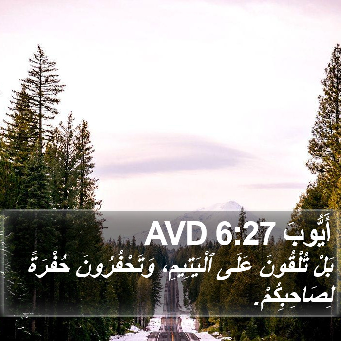 أَيُّوبَ 6:27 AVD Bible Study