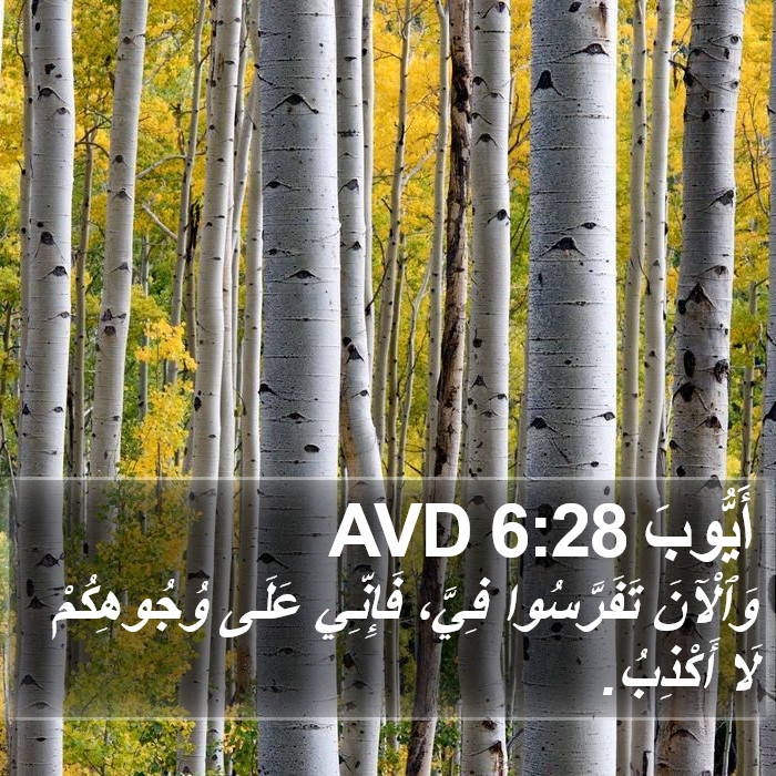 أَيُّوبَ 6:28 AVD Bible Study