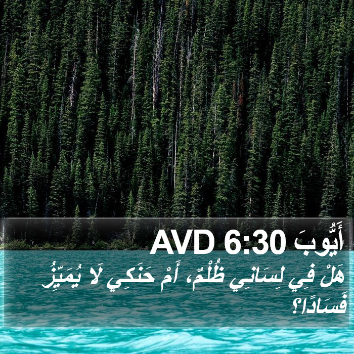 أَيُّوبَ 6:30 AVD Bible Study