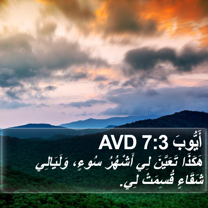 أَيُّوبَ 7:3 AVD Bible Study