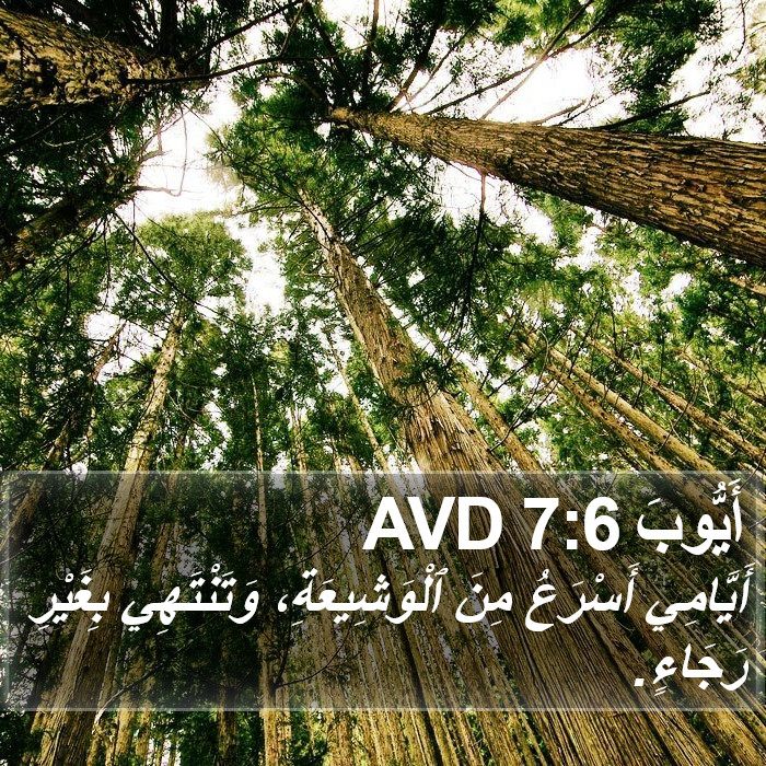 أَيُّوبَ 7:6 AVD Bible Study