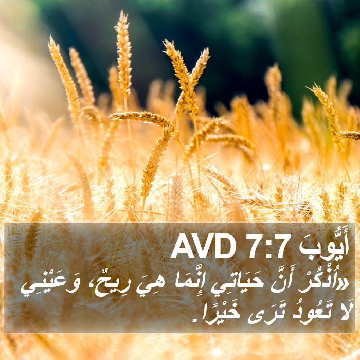 أَيُّوبَ 7:7 AVD Bible Study