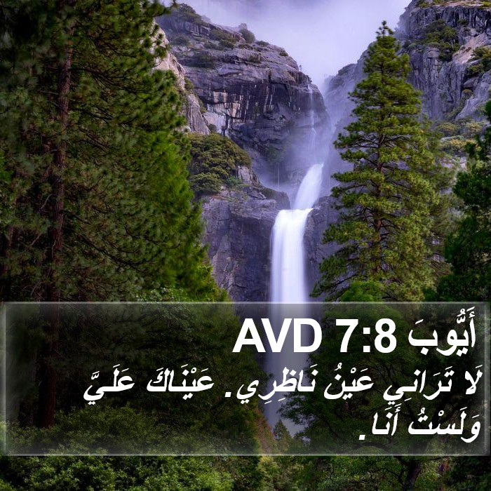 أَيُّوبَ 7:8 AVD Bible Study