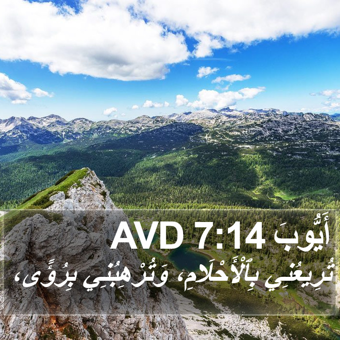 أَيُّوبَ 7:14 AVD Bible Study