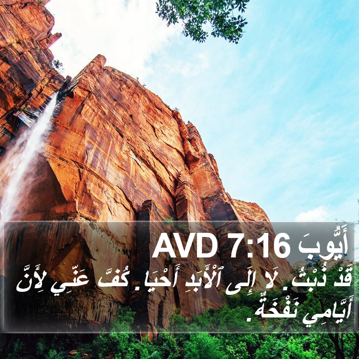 أَيُّوبَ 7:16 AVD Bible Study