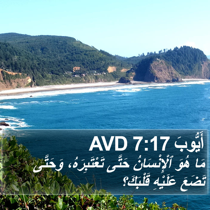 أَيُّوبَ 7:17 AVD Bible Study