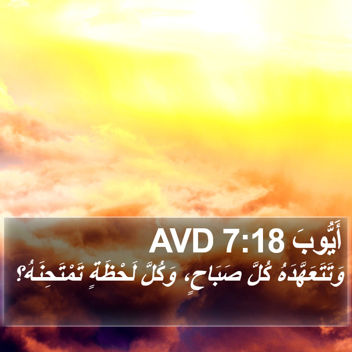 أَيُّوبَ 7:18 AVD Bible Study