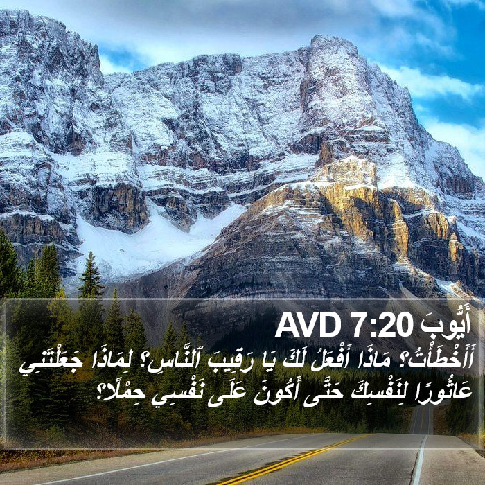 أَيُّوبَ 7:20 AVD Bible Study