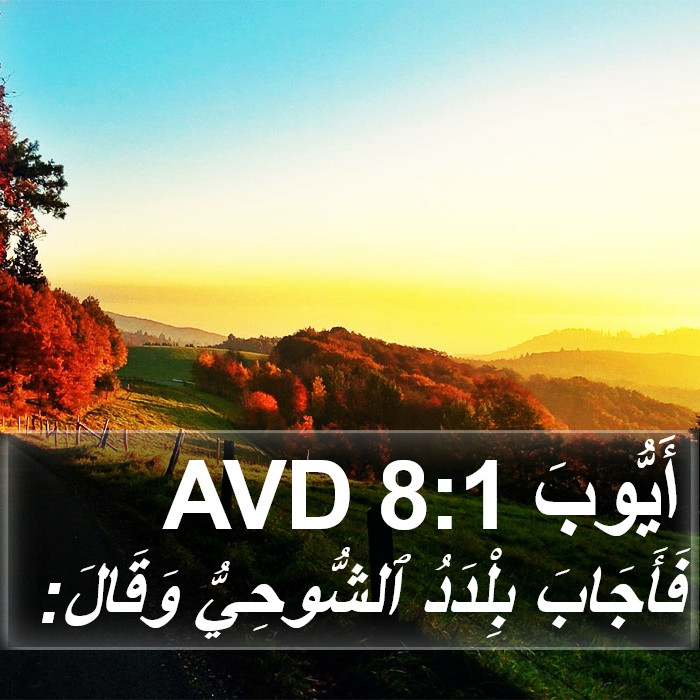أَيُّوبَ 8:1 AVD Bible Study