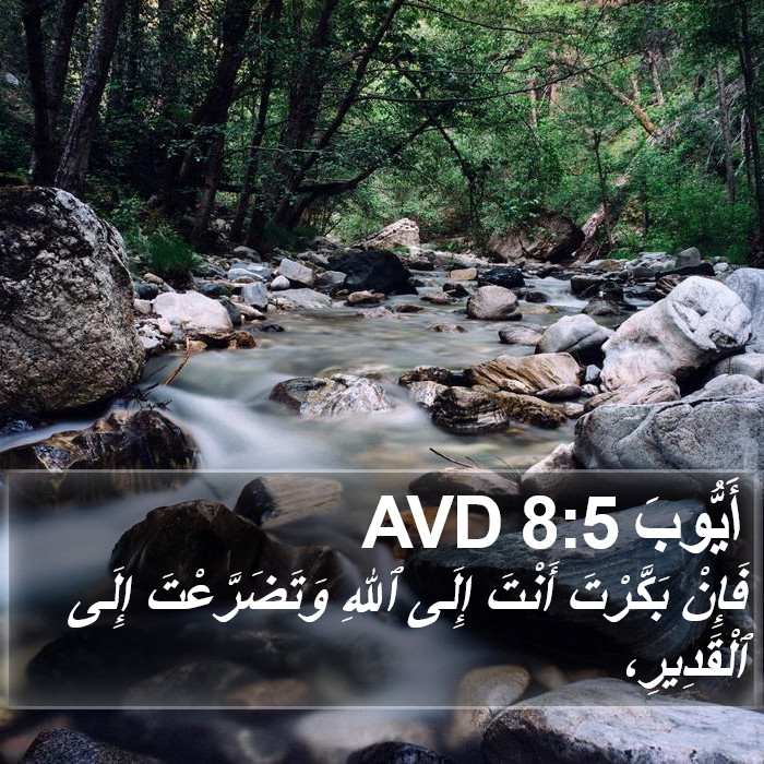 أَيُّوبَ 8:5 AVD Bible Study