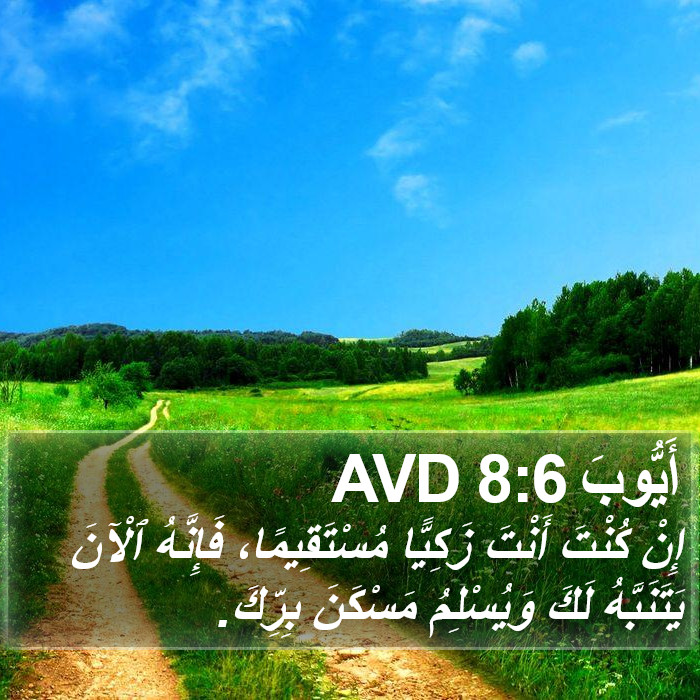 أَيُّوبَ 8:6 AVD Bible Study