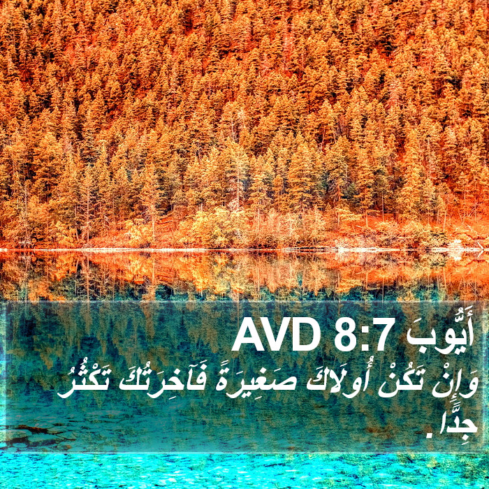 أَيُّوبَ 8:7 AVD Bible Study