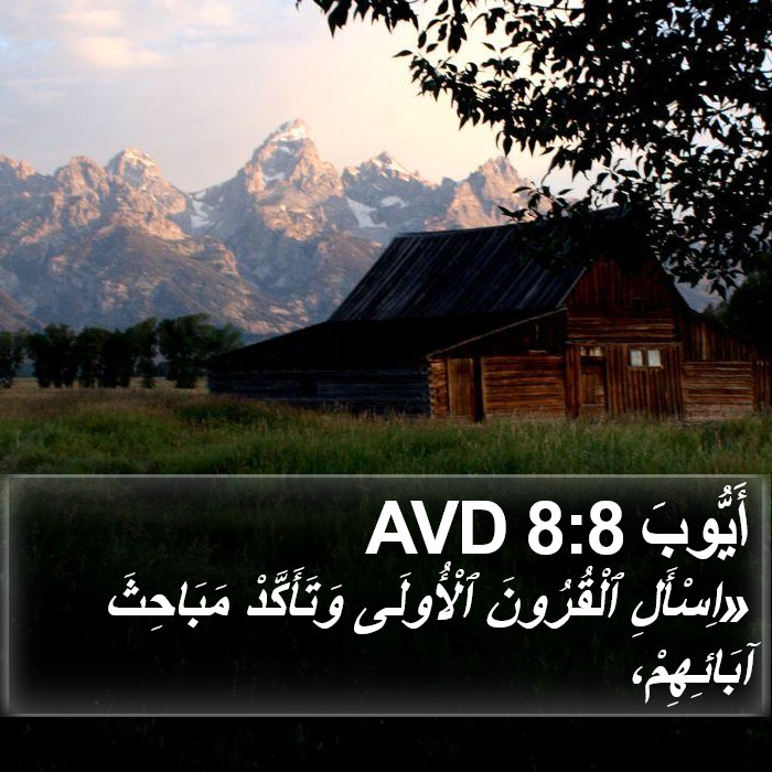 أَيُّوبَ 8:8 AVD Bible Study