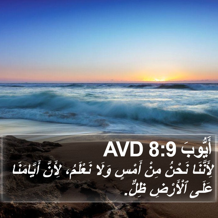 أَيُّوبَ 8:9 AVD Bible Study