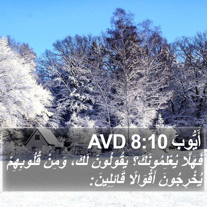 أَيُّوبَ 8:10 AVD Bible Study